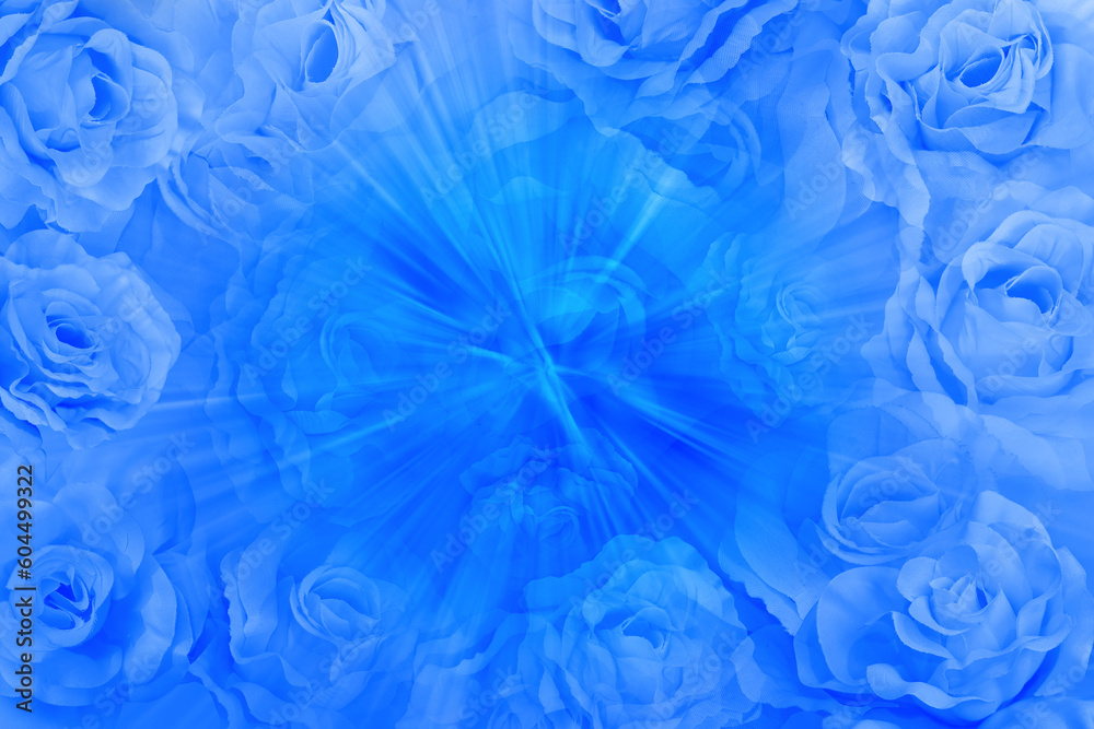 blue roses flower and blue speed on blur roses flower background, fashion, nature, banner, template, copy space