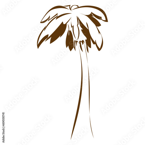 Palme