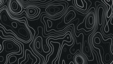 Topographic line contour map background. Elevation graphic contour height lines. Vintage outdoors style. Black on white contours vector topography stylized height of the lines. 