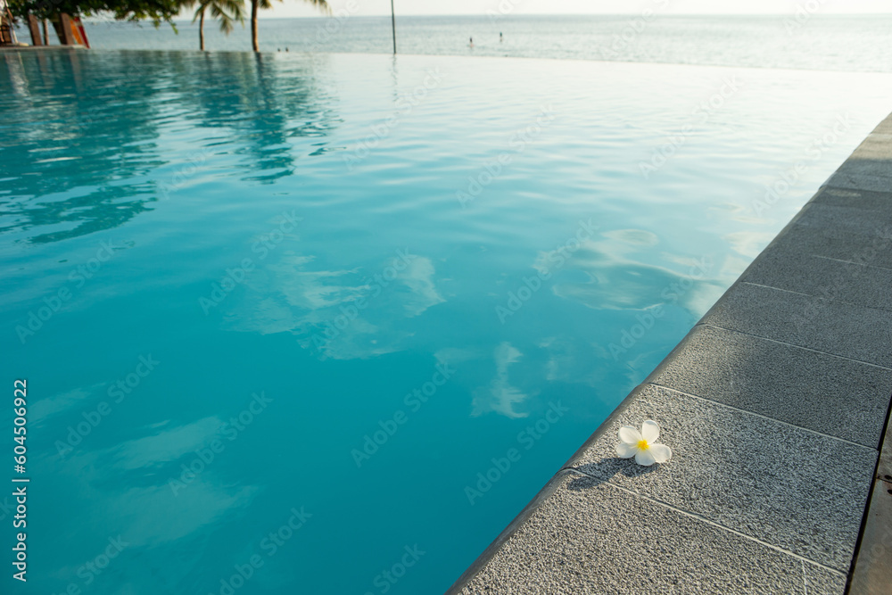 Plumeria flowers on the floor beside the resort swimming pool