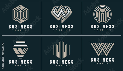 Luxury geometric line letter W logo design brand