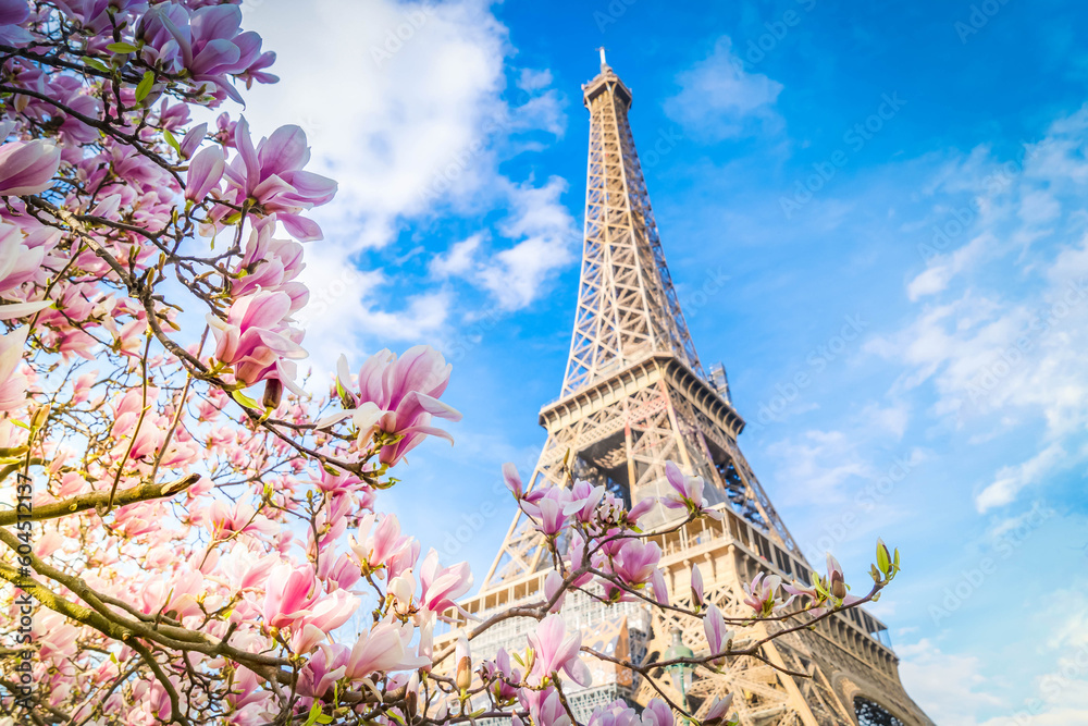 eiffel tour and from Trocadero, Paris