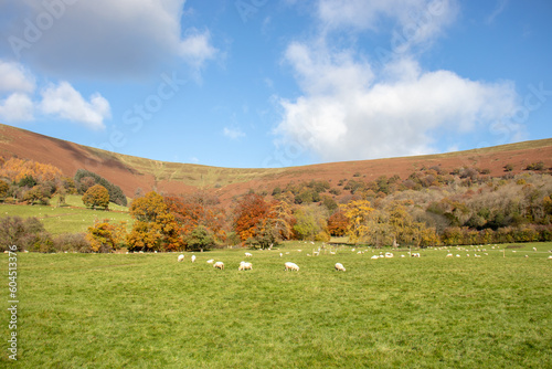 autumn landscape in Wales.