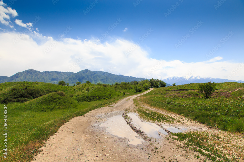 Beautiful spring and summer landscape. Mountain country road among green hills. Lush green hills, high mountains. Summer natural background.