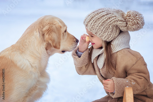 Photography joyful beautiful little girl on a sled joyfully plays with a dog golden retrieve