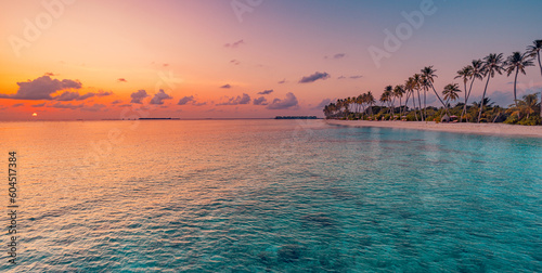 Fototapeta Naklejka Na Ścianę i Meble -  Beautiful panoramic sunset sea sky tropical paradise beach. Tranquil summer vacation travel landscape. Peaceful seaside palm calm panorama. Exotic nature view inspire seascape. Best Maldives wallpaper