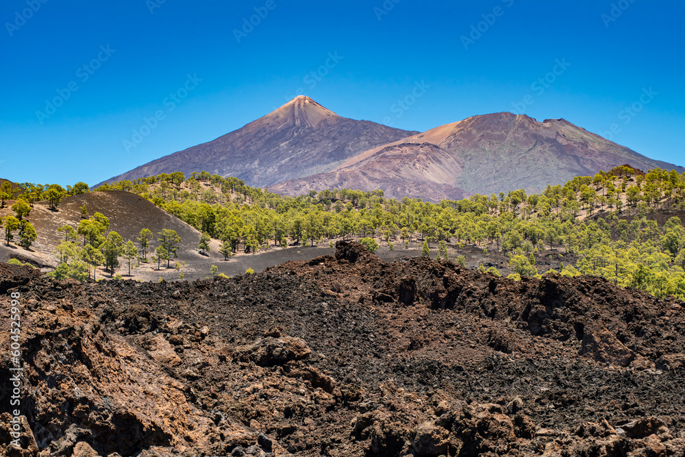 Teide, or Mount Teide, is a volcano on Tenerife in the Canary Islands, Spain. Its summit is the highest point in Spain and the highest point above sea level in the islands of the Atlantic