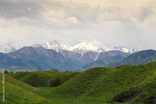 Beautiful spring and summer landscape. Lush green hills  high mountains. Spring blooming herbs. Kyrgyzstan