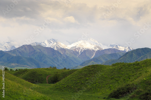 Beautiful spring and summer landscape. Lush green hills, high mountains. Spring blooming herbs. Kyrgyzstan