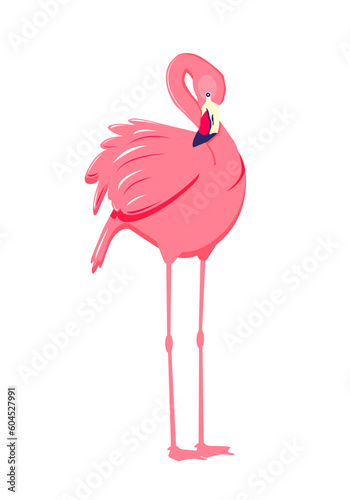 Pink flamingo. Cute and beautiful flat pink flamingo on white background, summer design for print, kids drawing, design for t-shirt, poster, banner, design for fabric and textile