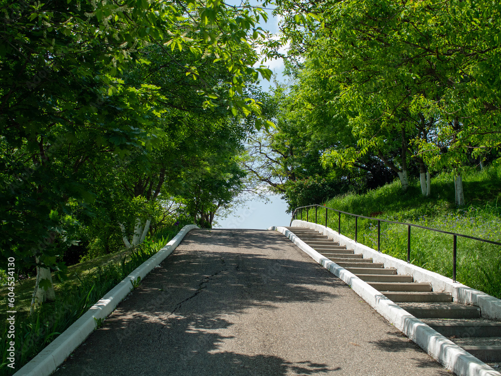 footpath in the park