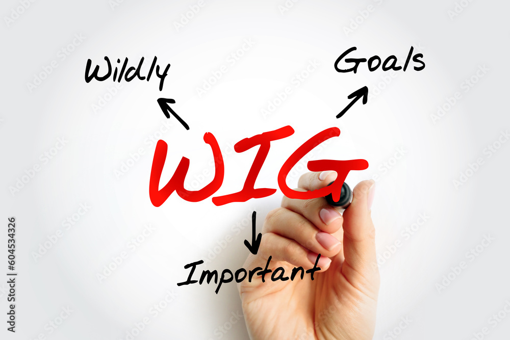 WIG Wildly Important Goals highly important goals that must be