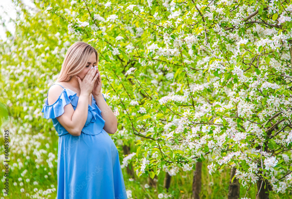 A pregnant woman in the garden of flowering apple trees is allergic. Selective focus. A pregnant woman in the garden of flowering apple trees is allergic. Selective focus.