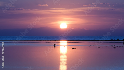 Silhouetted fishermen gleaning and fishing for seafood at low tide with stunning pink purple sunset reflecting over Indo-Pacific ocean in Timor-Leste photo