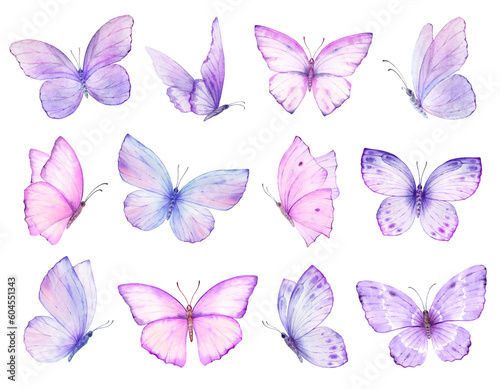 Watercolor set of bright purple hand painted butterflies. Design for the decoration of postcards, invitations, greeting cards, birthday, souvenirs, weddings.