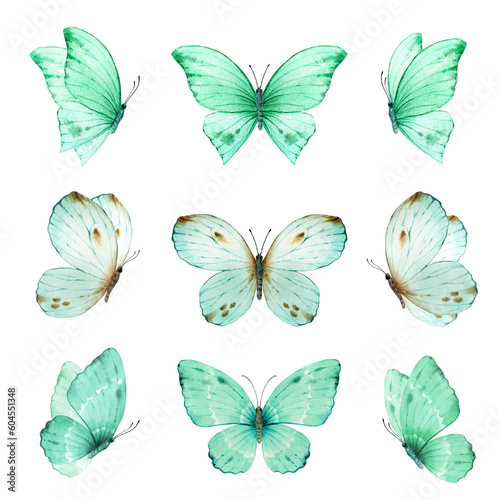 Watercolor set of bright turquoise hand painted butterflies. Design for the decoration of postcards, invitations, greeting cards, birthday, souvenirs, weddings.