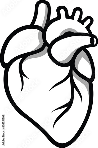Simple Illustration of Anatomical Heart