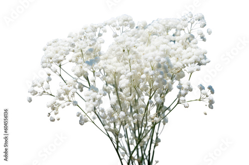 bouquet of white flowers