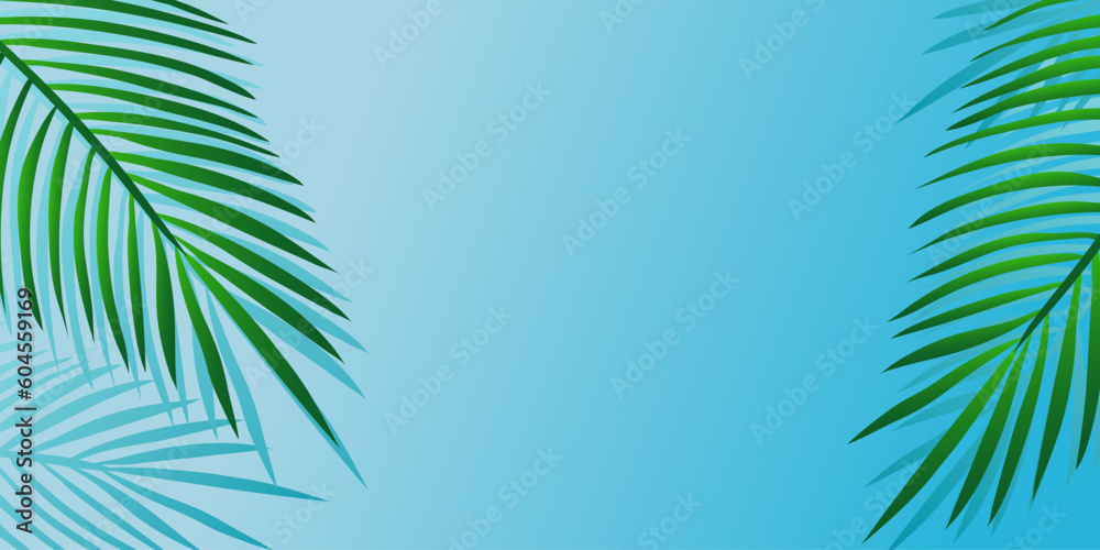Blue gradient background with palm leaves and shadows
