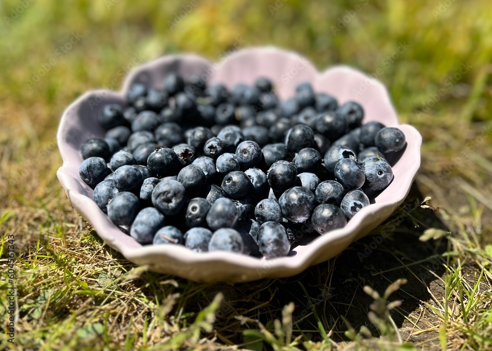 blueberries in a bowl