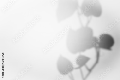 floral shadow overlay