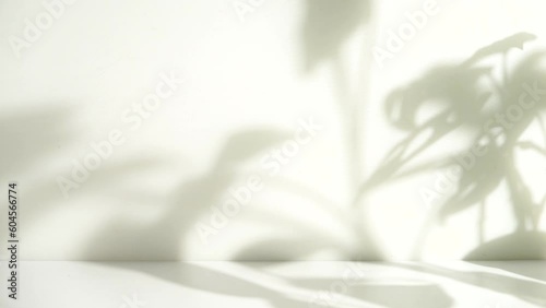 minimalist tropical leaf shadow for product display