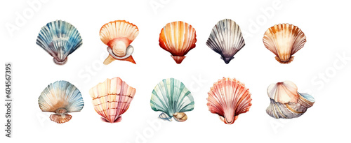 Watercolor seashells collection isolated on white background. Ocean marine sea element graphic design. Vector illustration © ABC Vector
