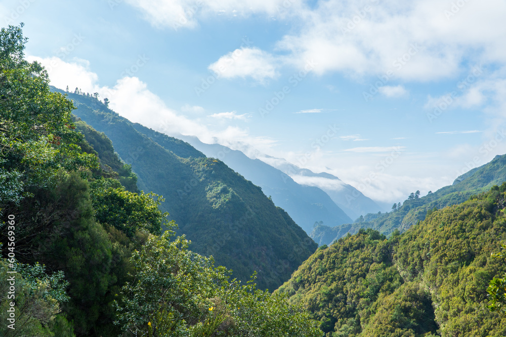Obraz premium Mountain landscape. View of mountains on the route Queimadas Forestry Park - Caldeirao Verde. Madeira Island, Portugal, Europe.