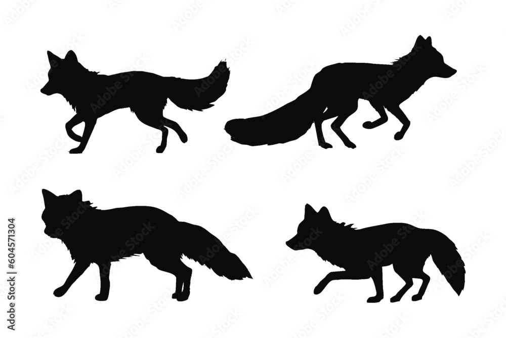Foxes walking different positions, silhouette set vector. Adult fox silhouette collection on a white background. Carnivore animals like foxes, jackals, and varmints full body silhouette bundles.