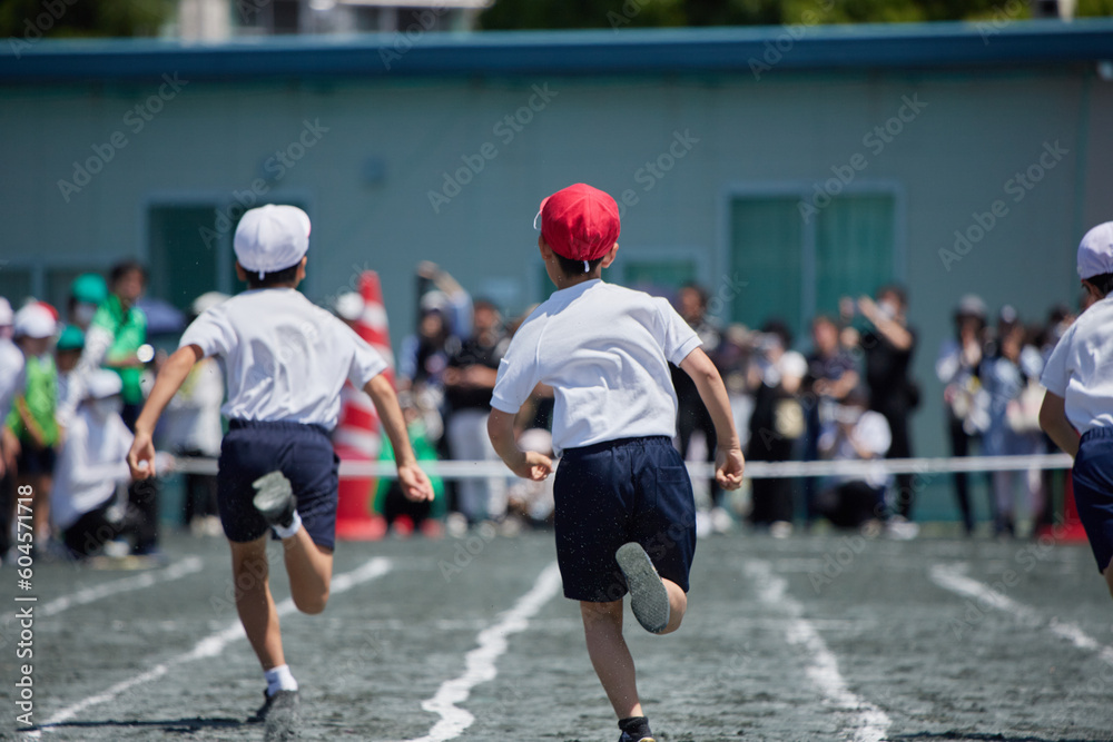Fototapeta premium 小学校の運動会で短距離走をしている学生達の後ろ姿