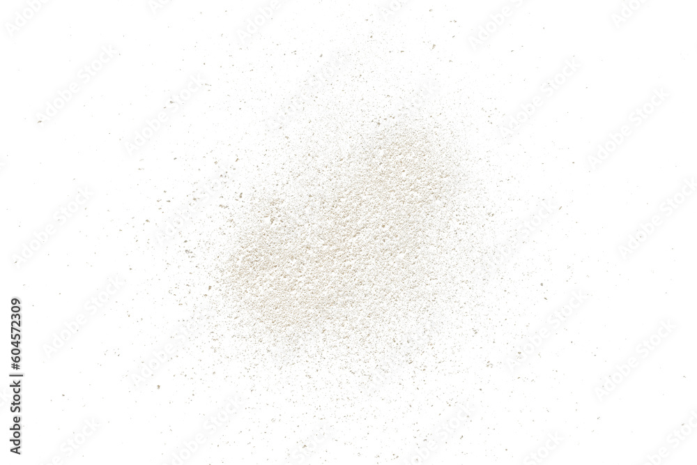 Dust particle isolated. Grainy texture element