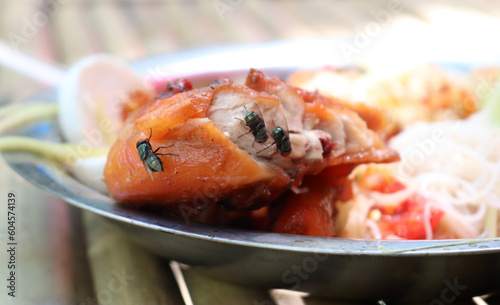 Dirty Flies on food, cause pathogen transmission