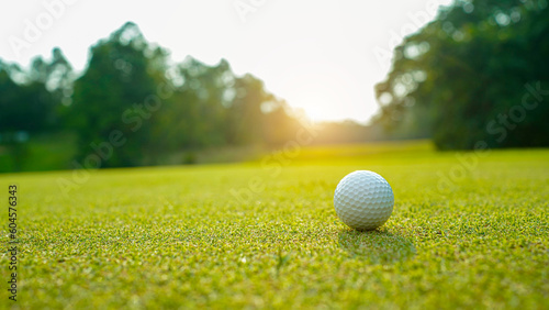 Golf ball on green grass in the evening golf course with sunshine background.