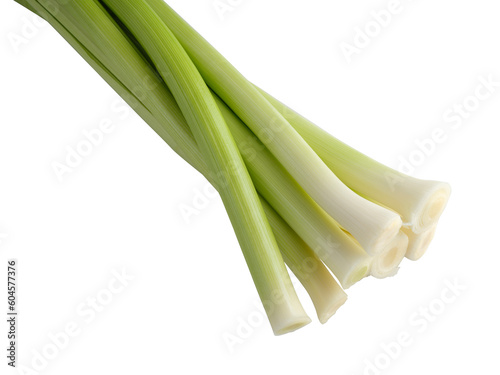Leek png