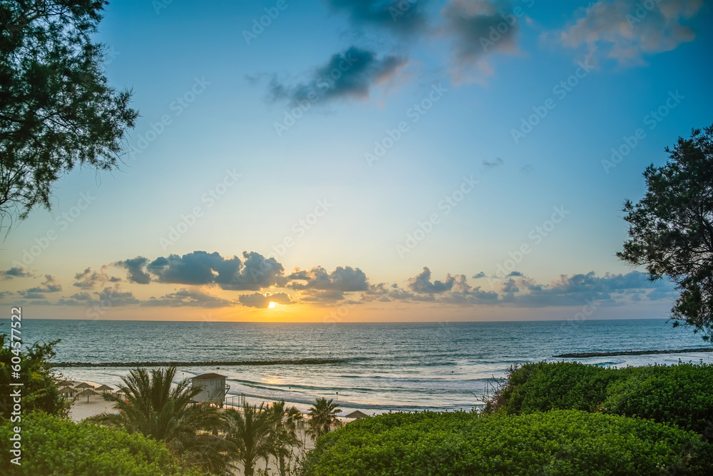 Beach through trees and palms at sunset. Scenic coast of Mediterranean sea, sandy beach in Netanya, Israel