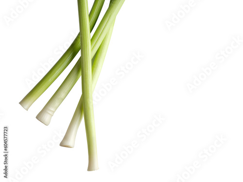 leek isolated on white