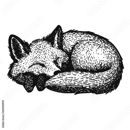 cute sleeping fox vector sketch