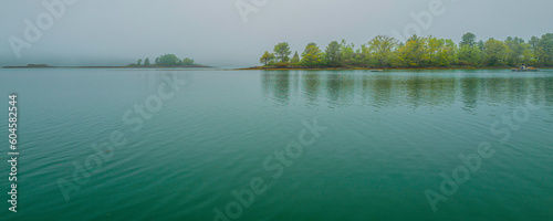 Konstfotografi Trees and water reflections