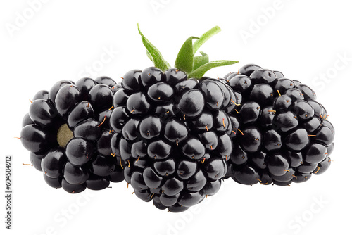 Blackberry isolated on white background, full depth of field