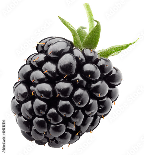 Blackberry isolated on white background, full depth of field