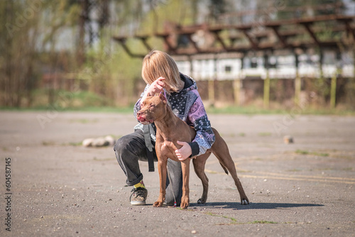 A beautiful young girl cynologist trains a pit bull terrier outdoors. © shymar27