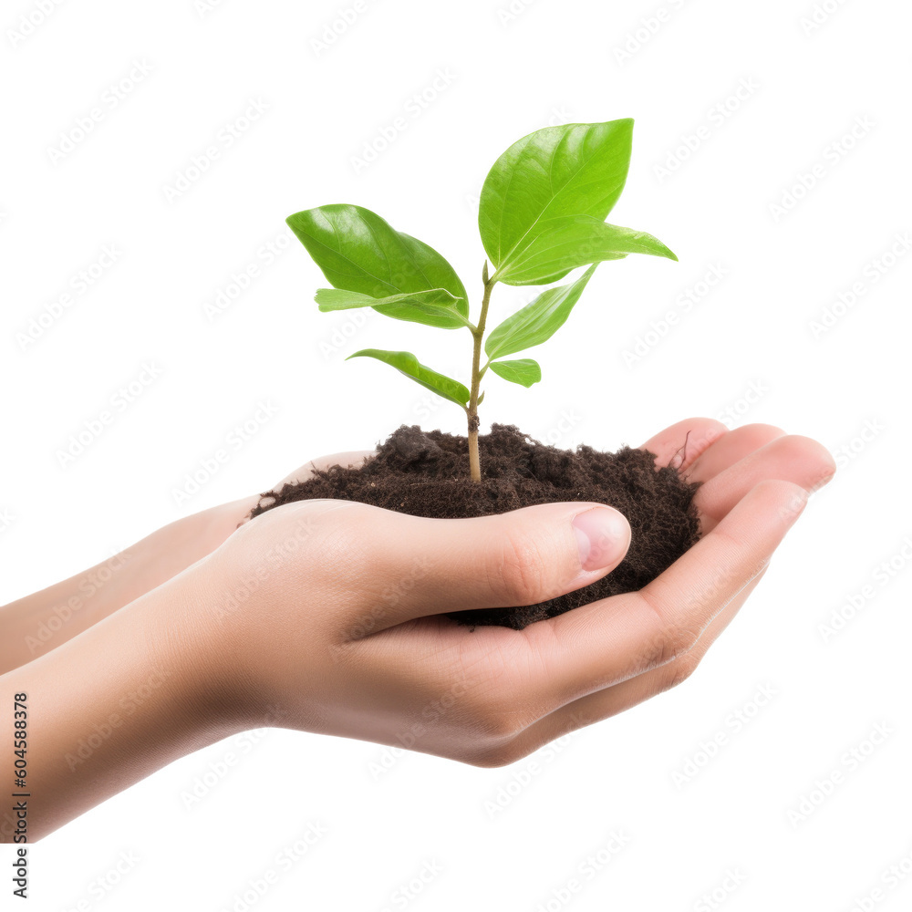 Hands Holding Plant Side View Isolated on Transparent Background - Generative AI
Hands Holding Plant Side View Isolated on Transparent Background - Generative AI