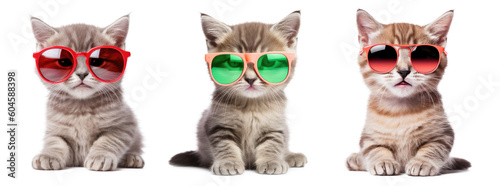 Kitten Wearing Summer Glasses Set Isolated on Transparent Background - Generative AI 