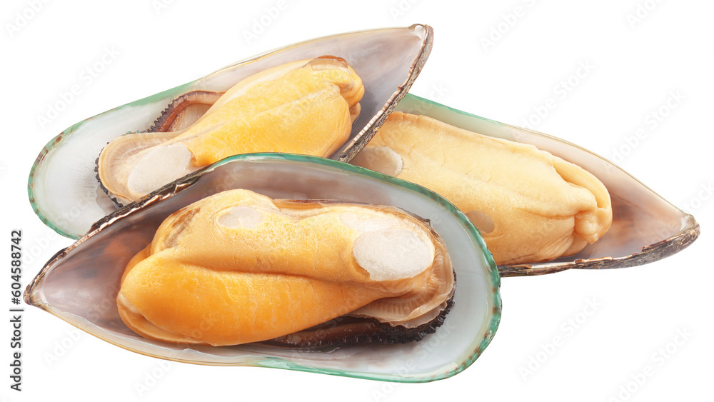 Mussel, green shell, isolated on white background, full depth of field ...