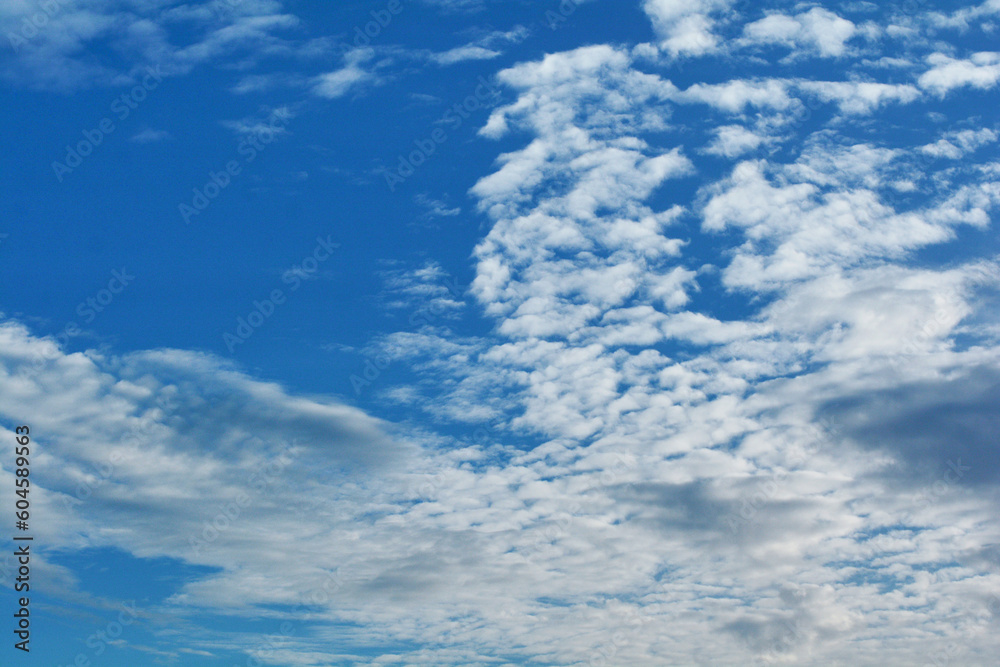 Fototapeta premium Sky. Blue sky with white clouds background. Curly clouds on a sunny summer day. Light cloudy. Good weather. Simple background sky for summer poster. Summer mock up. Soft focus.