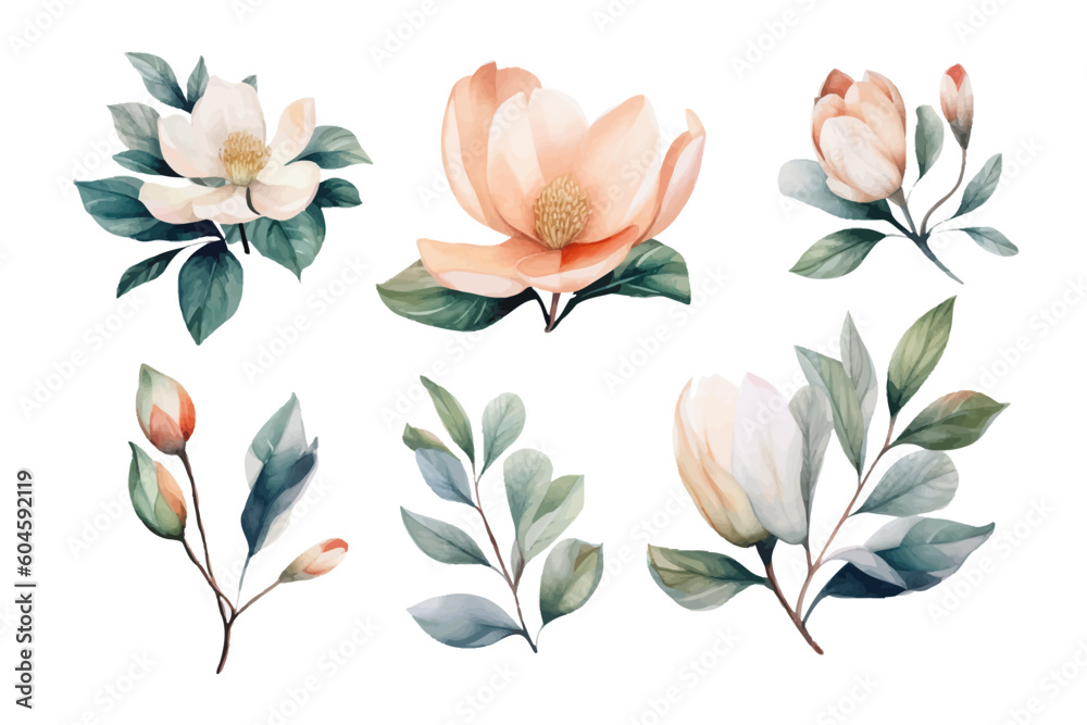 Set of floral elements. Set of floral elements.