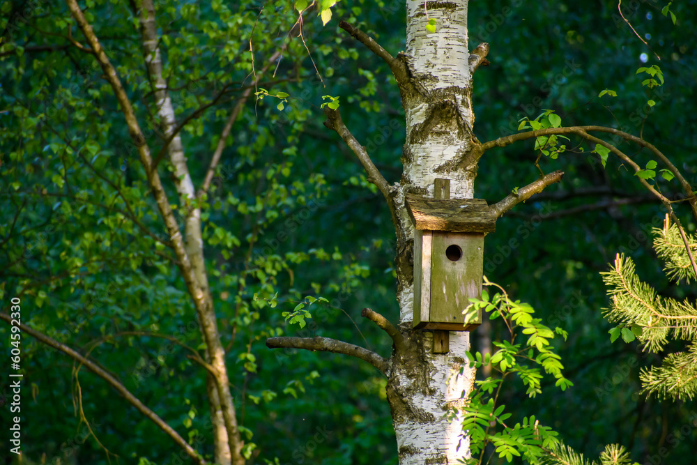 Prosta, zwykła drewniana budka lęgowa dla ptaków wisząca na drzewie. Schron - obrazy, fototapety, plakaty 