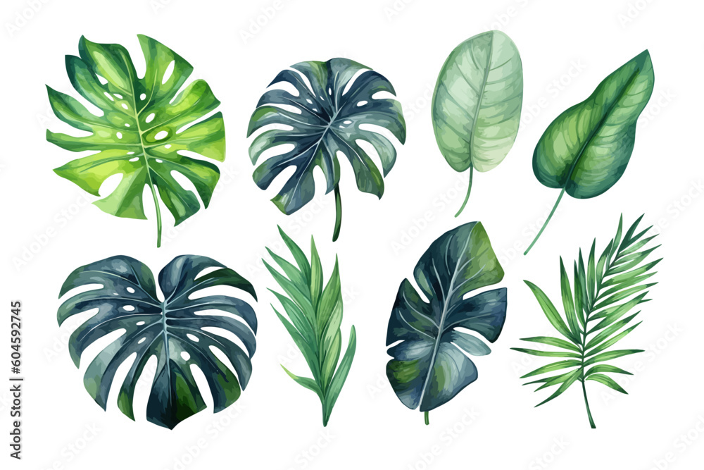 set of trees set of trees