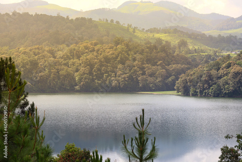 lake in the morthe view of Patenggang Lake in the morning surrounded by pine forest treesning photo