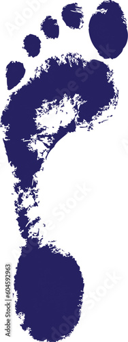 Foot Print